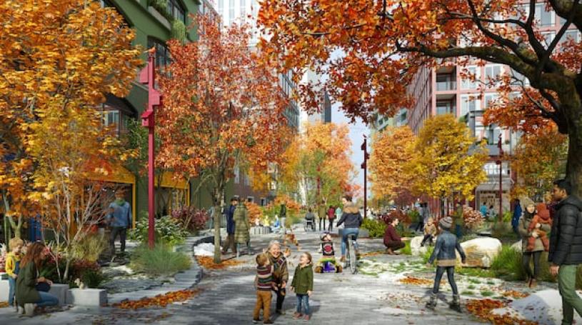 Car free neighbourhood