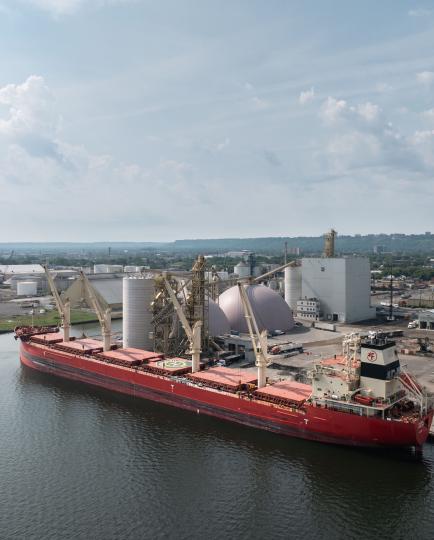 Freighter Loading - Hamilton Harbour